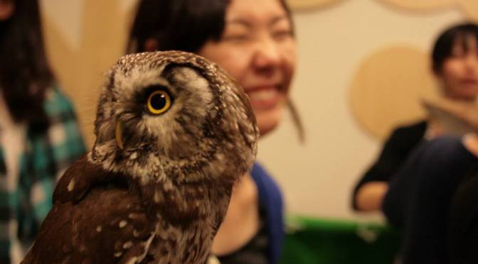 The Owl Cafe!!